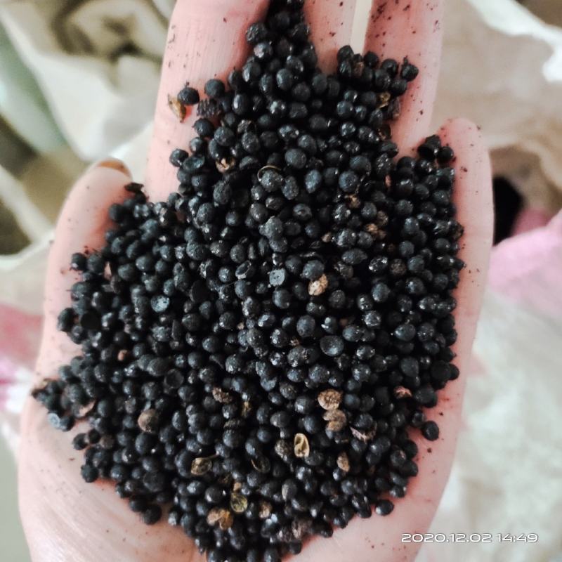 【文斌药业】椒目川椒目花椒目量大从优