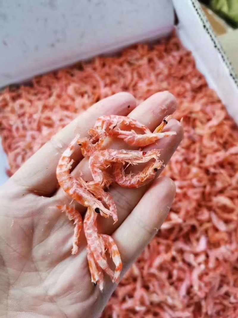 精品优质深海南极磷虾