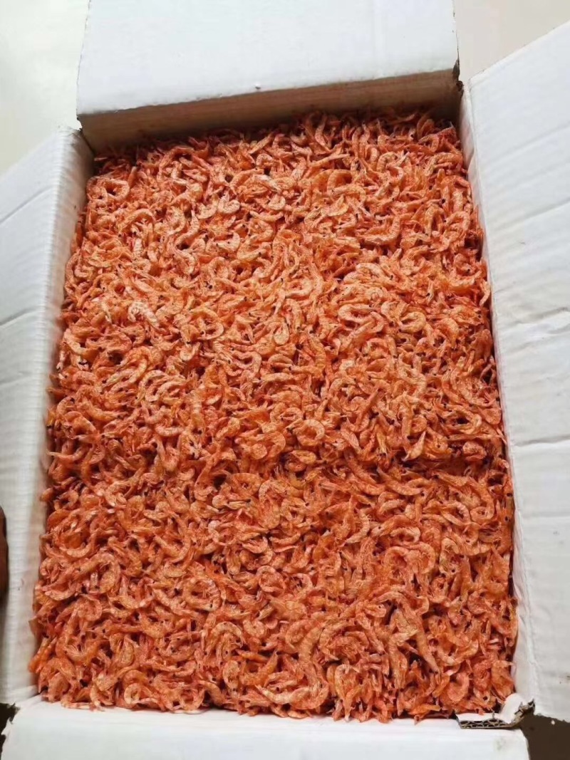 精品优质深海南极磷虾