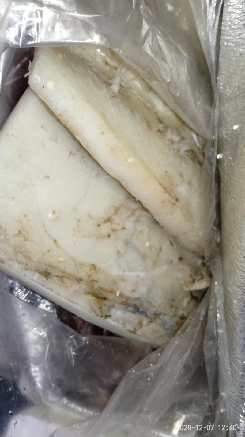【免处理】新鲜大鱿鱼去头去内脏鱿鱼片八爪鱼章鱼烧烤火锅食