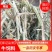 羊饲料羊草质量好价格实惠产地直发保证质量无土无膜