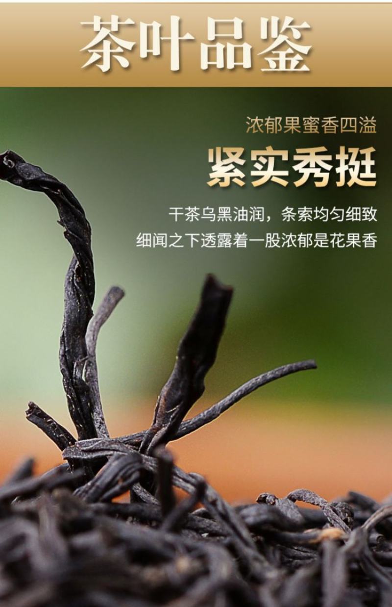 新茶武夷山正山小种红茶花果香醇厚耐泡支持线上保障交易
