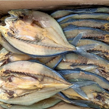黄金鲅鱼，煎，炸，红焖，都可以，味道非常鲜美。