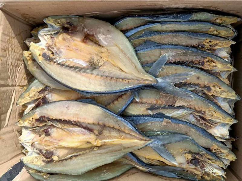 黄金鲅鱼，煎，炸，红焖，都可以，味道非常鲜美。