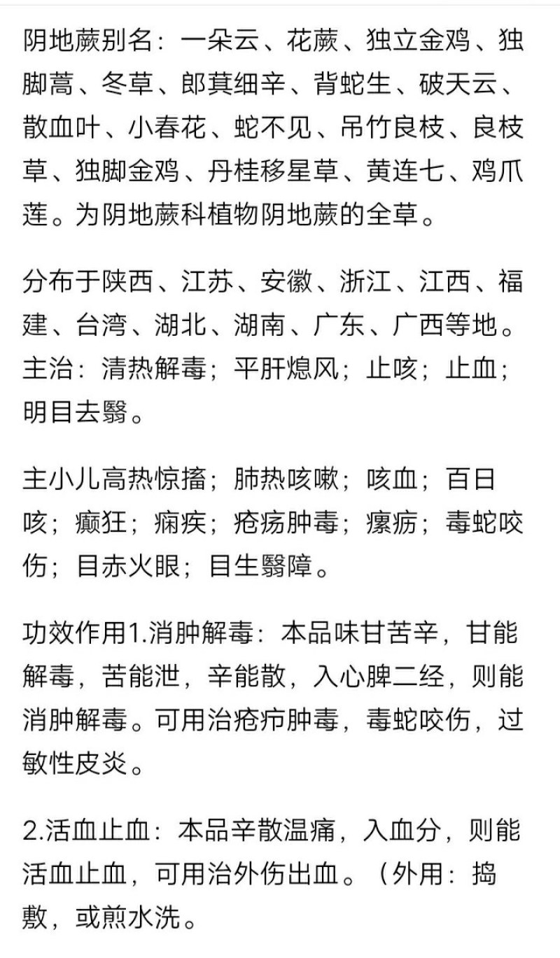 一朵云阴地蕨纯野生无污染水洗干货
