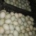 鸭蛋裂纹蛋，专供旅游团，质量好，价格便宜，量大从优