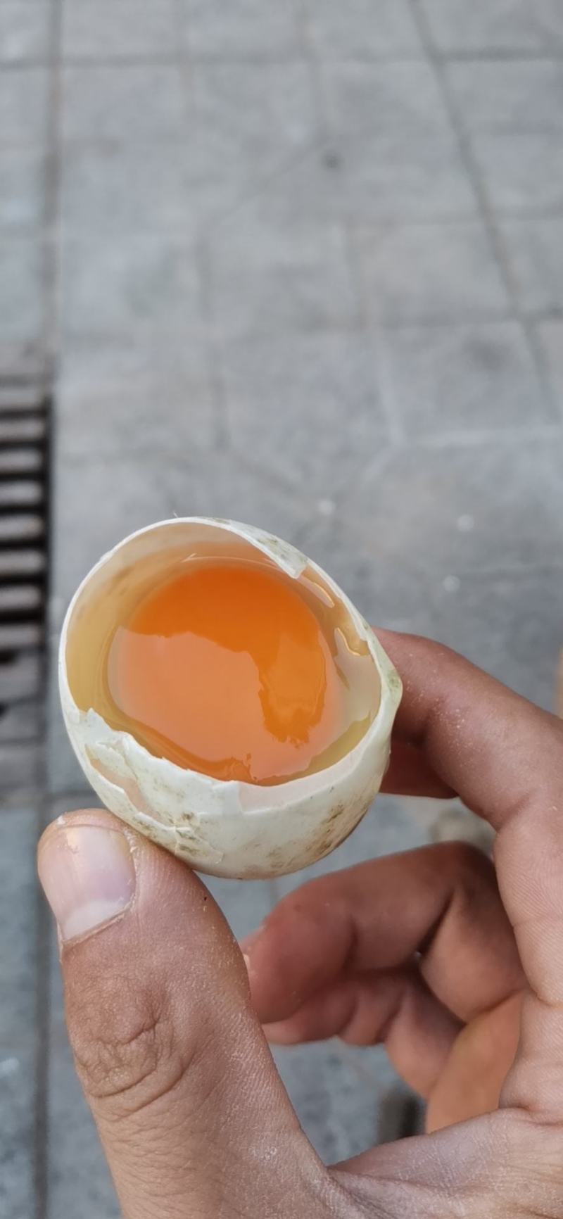 鸭蛋裂纹蛋，专供旅游团，质量好，价格便宜，量大从优
