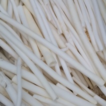 通草有清湿沥水中药材