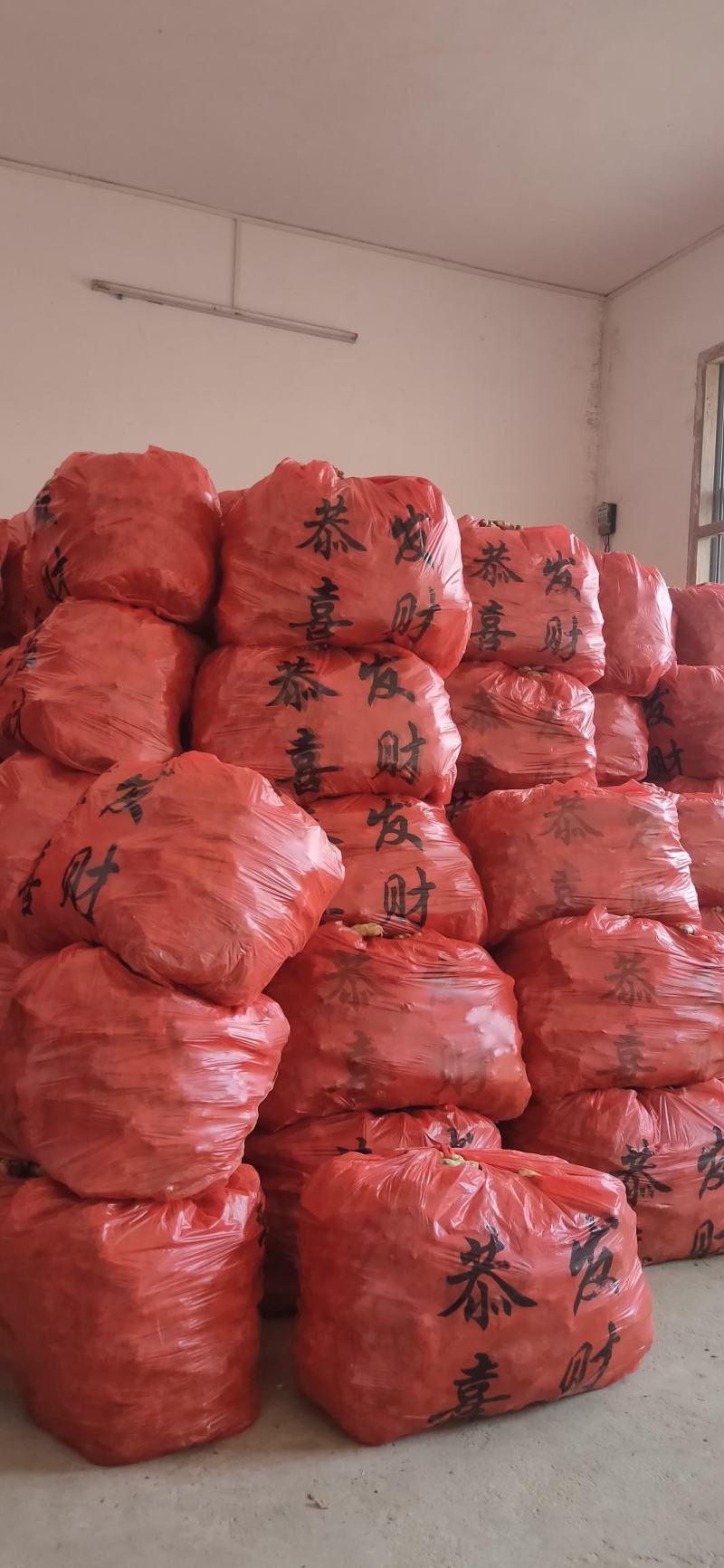 精品姜母，欢迎您在线订购，量大从优！