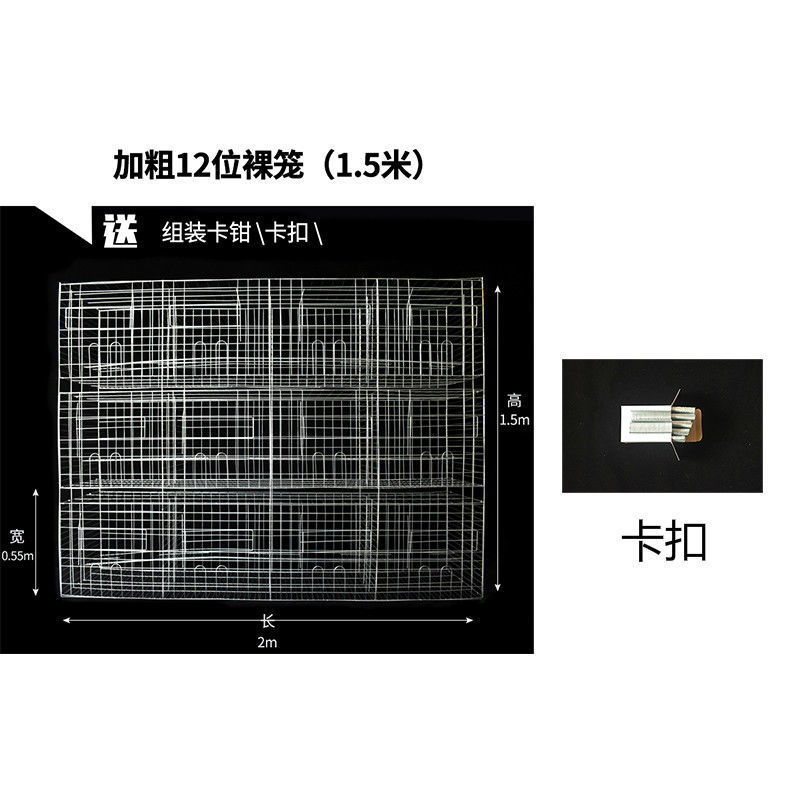 鸽子笼子养殖笼家用12位种鸽子繁殖笼16位肉鸽养殖笼大号