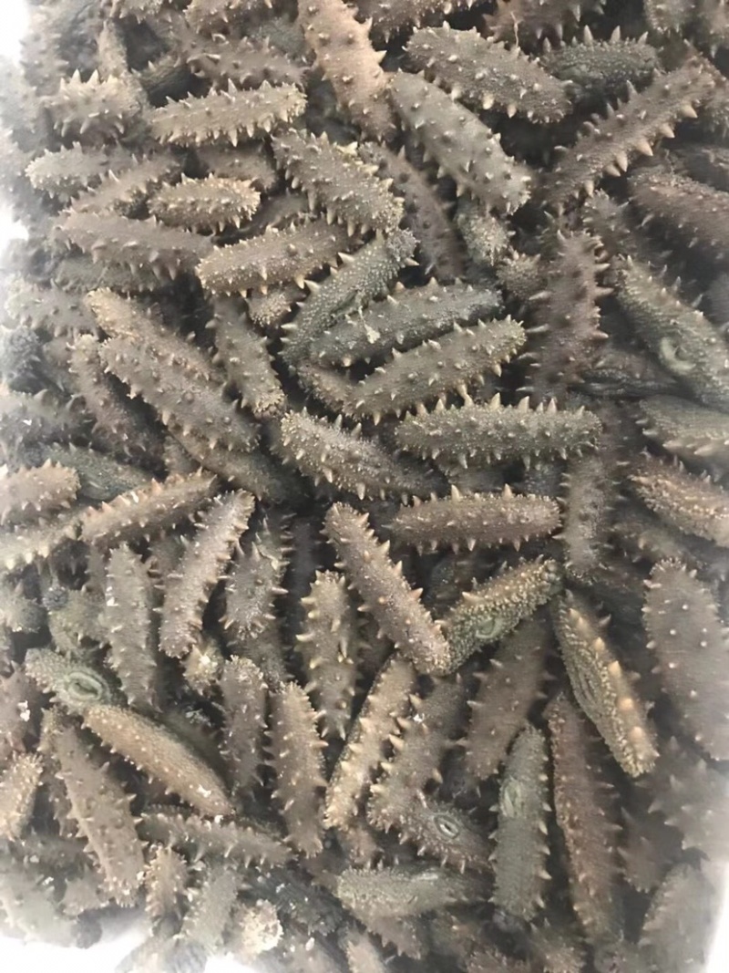 精品干海参可即食淡干有礼盒装产地直发全国发货