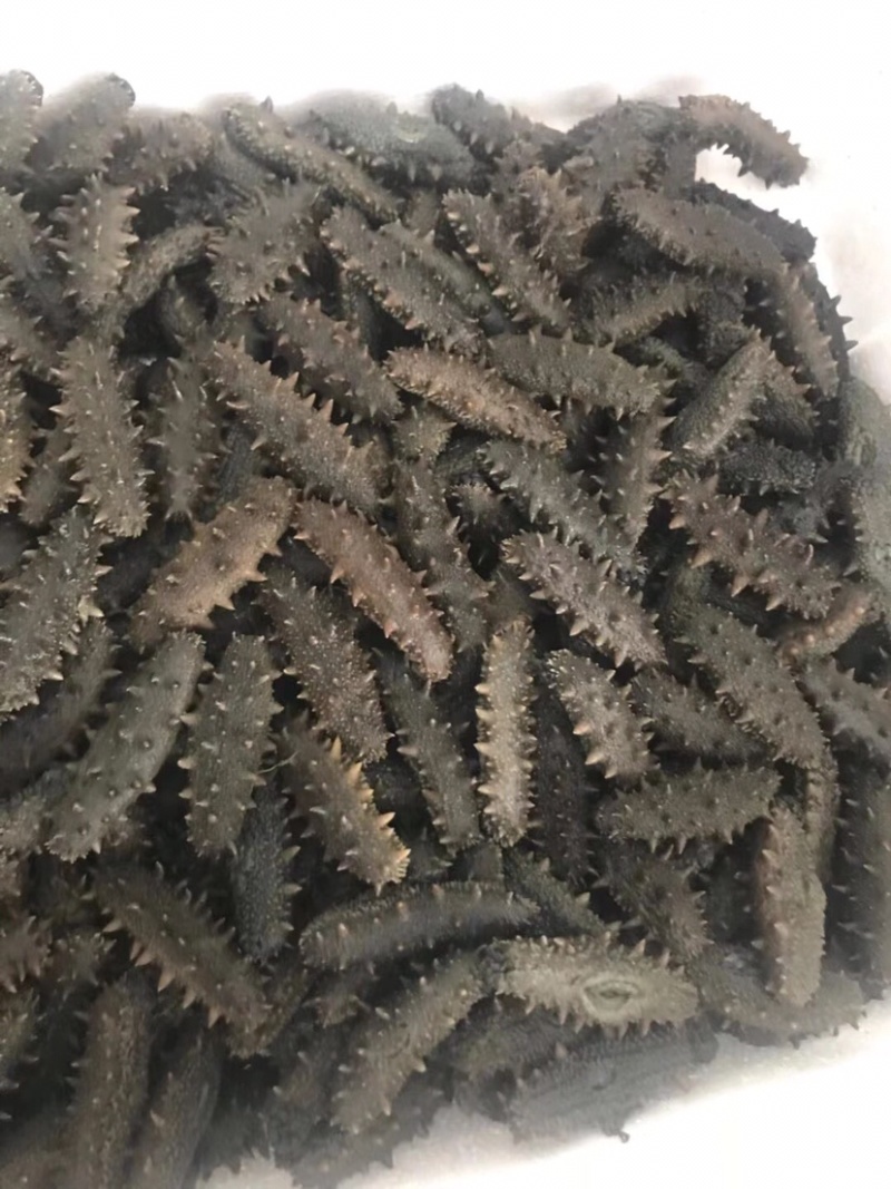 精品干海参可即食淡干有礼盒装产地直发全国发货