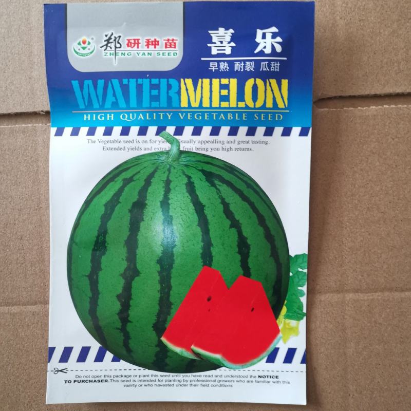 缅甸西瓜种子，甜娃919西瓜种子，喜宝，喜乐西瓜种子