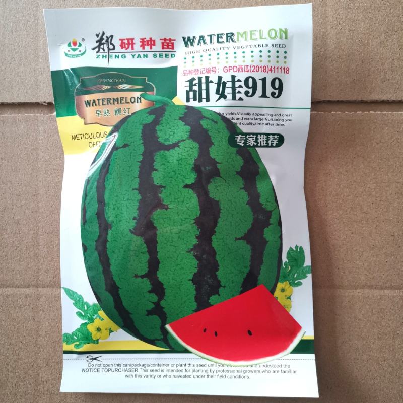 缅甸西瓜种子，甜娃919西瓜种子，喜宝，喜乐西瓜种子