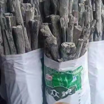 栗木木炭，白炭，黑炭都有卖。