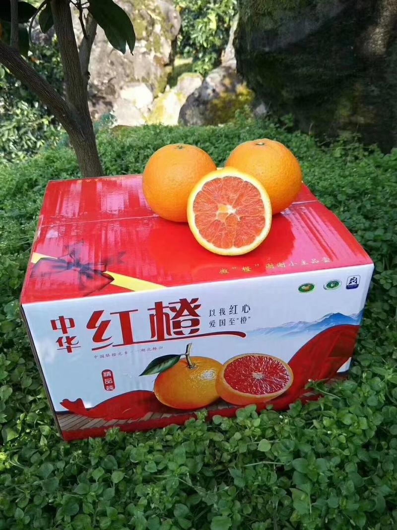 [热销榜推荐]中华红脐橙产地直销味甜爆汁诚信代办