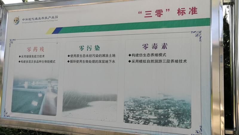 上海龙纹斑供应墨瑞鳕承接餐饮老板和电商
