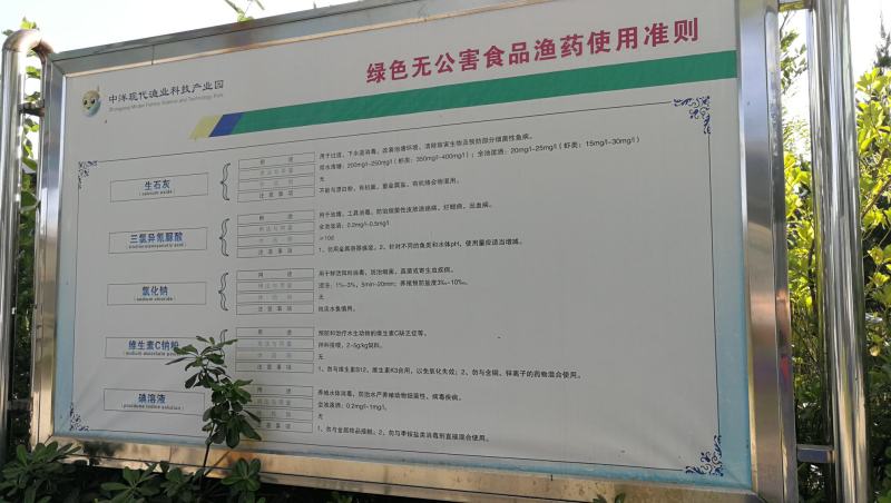 上海龙纹斑供应墨瑞鳕承接餐饮老板和电商
