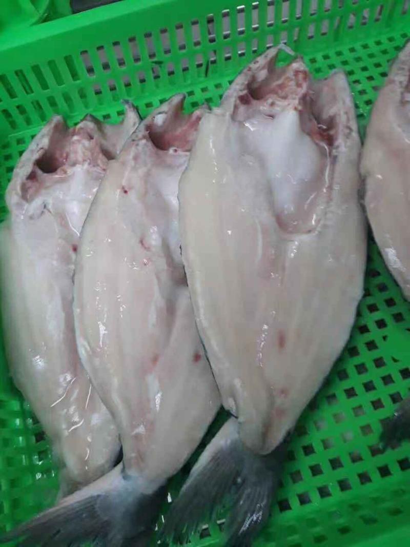 越南巴沙鱼，开背，带皮，去皮，各种规格齐全，厂家直接发货
