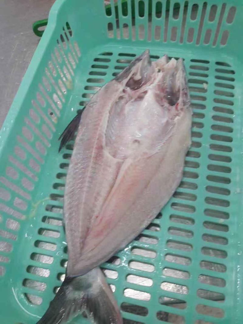 越南巴沙鱼，开背，带皮，去皮，各种规格齐全，厂家直接发货