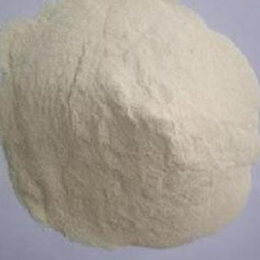 河南谷朊粉生产厂家长期供应面筋粉