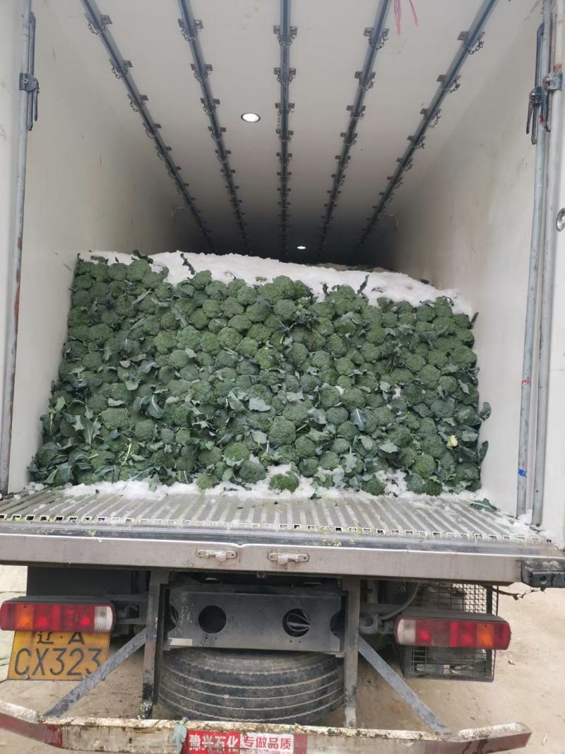 西兰花优质西兰花个头均匀颜色深绿色花球高圆型