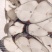 马鲛鱼马鲛马鲛马鲛马鲛马鲛马鲛
