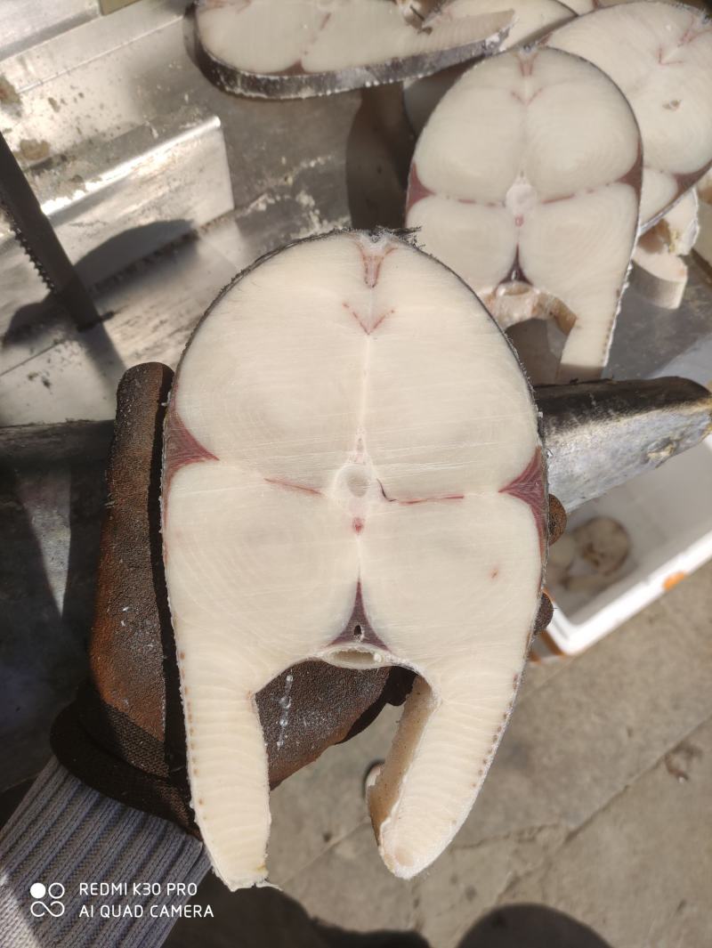 马鲛鱼马鲛马鲛马鲛马鲛马鲛马鲛