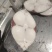 马鲛鱼马鲛马鲛马鲛马鲛马鲛马鲛