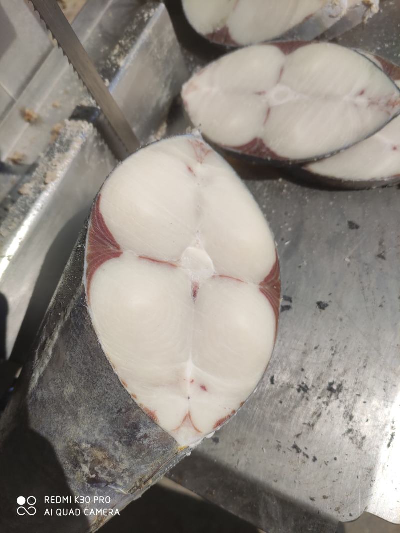 马鲛鱼马鲛马鲛马鲛马鲛马鲛马鲛