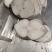 马鲛鱼马鲛马鲛马鲛马鲛马鲛马鲛