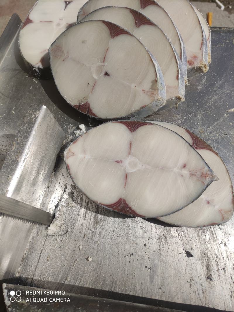 马鲛鱼马鲛马鲛马鲛马鲛马鲛马鲛