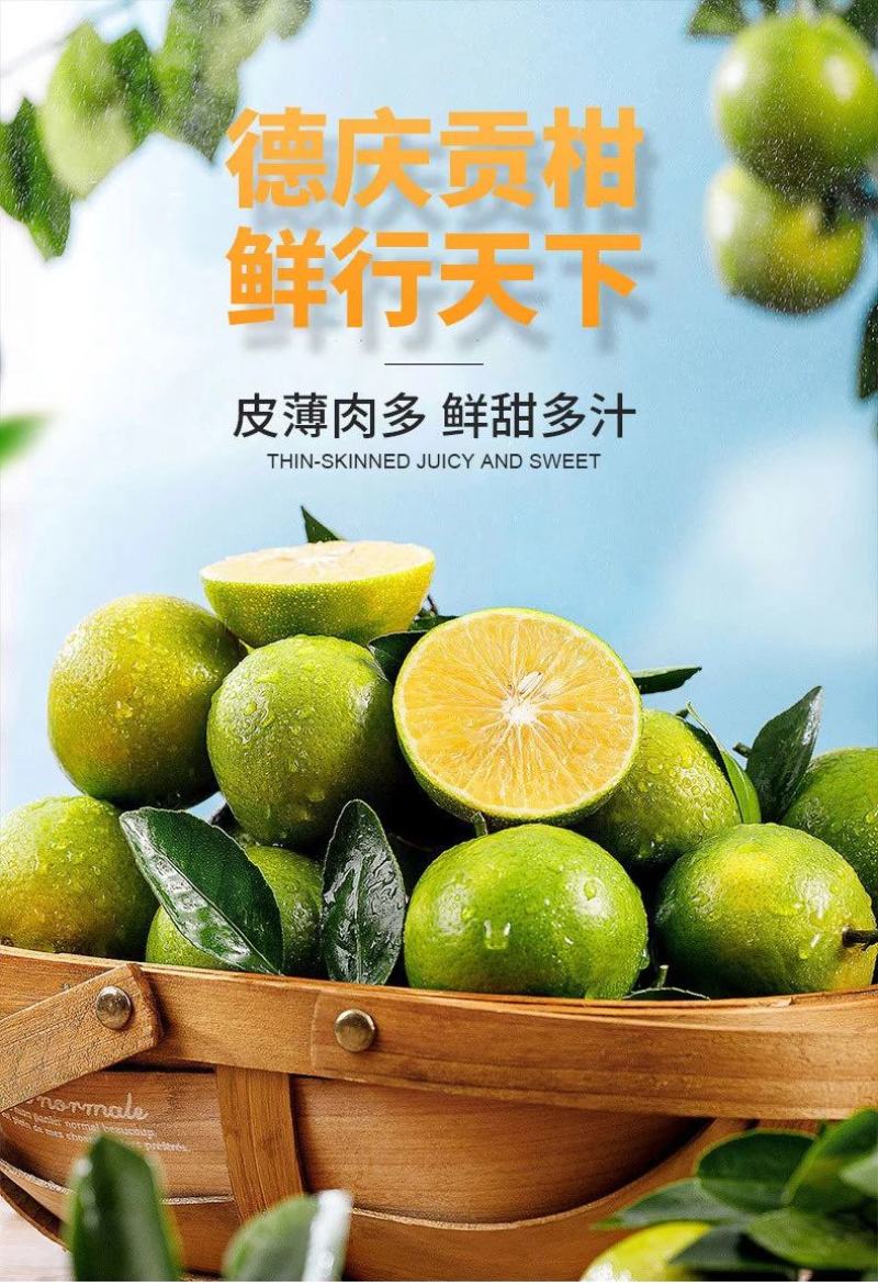 【精品】真正德庆贡柑皇帝柑甜度16电商微商一件代发