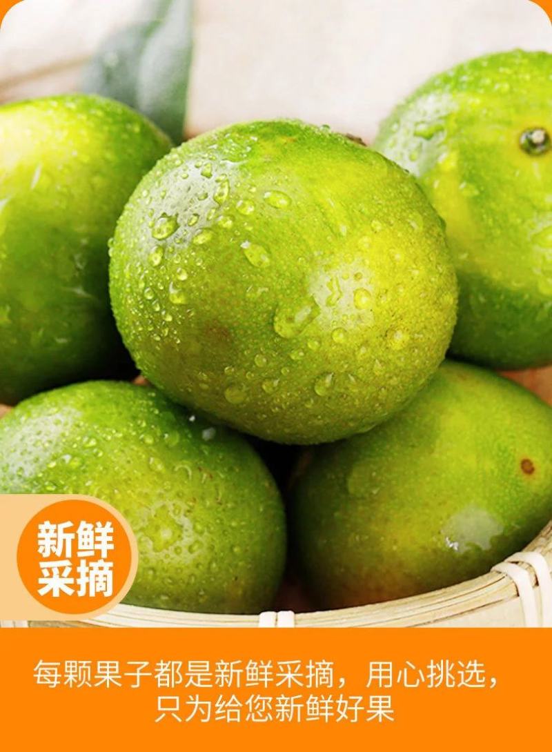 【精品】真正德庆贡柑皇帝柑甜度16电商微商一件代发