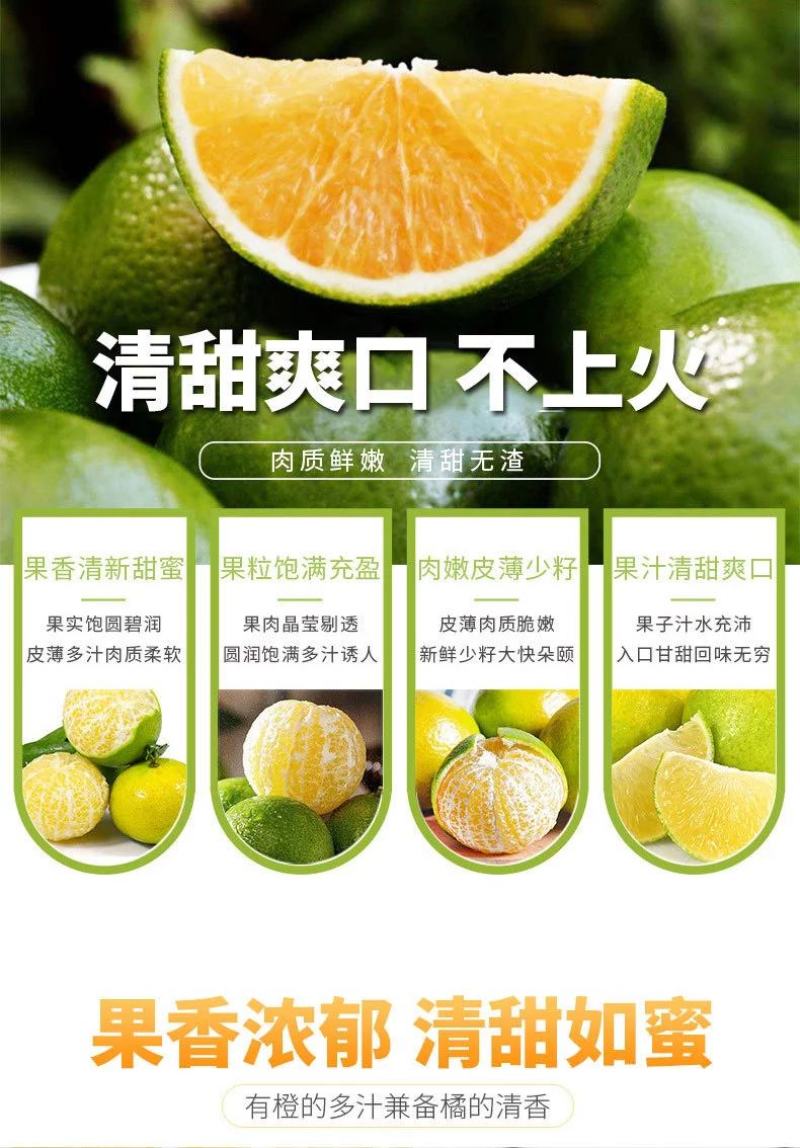 【精品】真正德庆贡柑皇帝柑甜度16电商微商一件代发