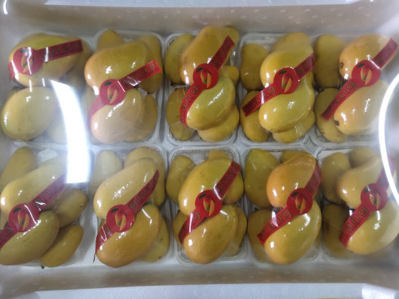 【高碑店新发地-乐航商贸】小台农芒果（熟货）
