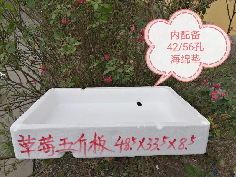 泡沫箱系列：各种型号草莓箱，海绵垫，各种辅料