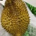 泰国进口榴莲金枕头榴莲A果4-7液氮保鲜(带壳)新鲜水果