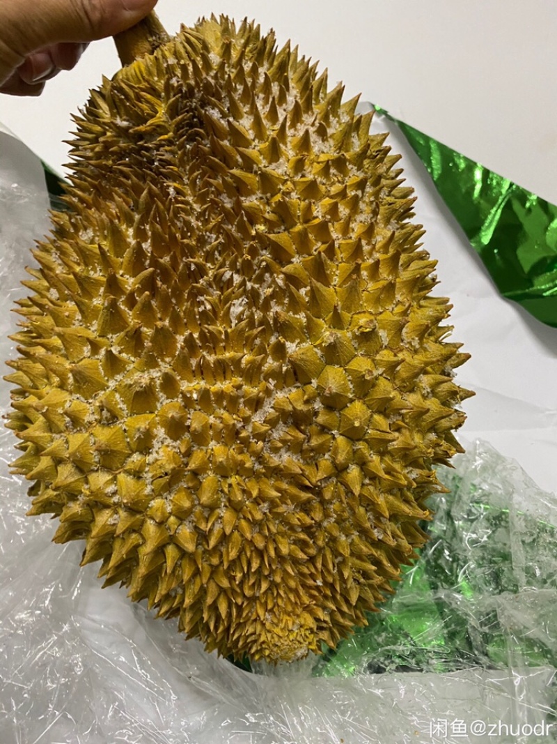 泰国进口榴莲金枕头榴莲A果4-7液氮保鲜(带壳)新鲜水果