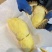 泰国进口榴莲金枕头榴莲A果4-7液氮保鲜(带壳)新鲜水果