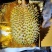 泰国进口榴莲金枕头榴莲A果4-7液氮保鲜(带壳)新鲜水果