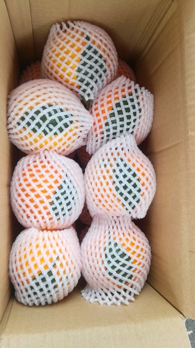 耙耙柑新鲜采摘可视频看货原产地直供支持一件代大。