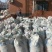 山东平邑山楂片，好通货，还有无核通货