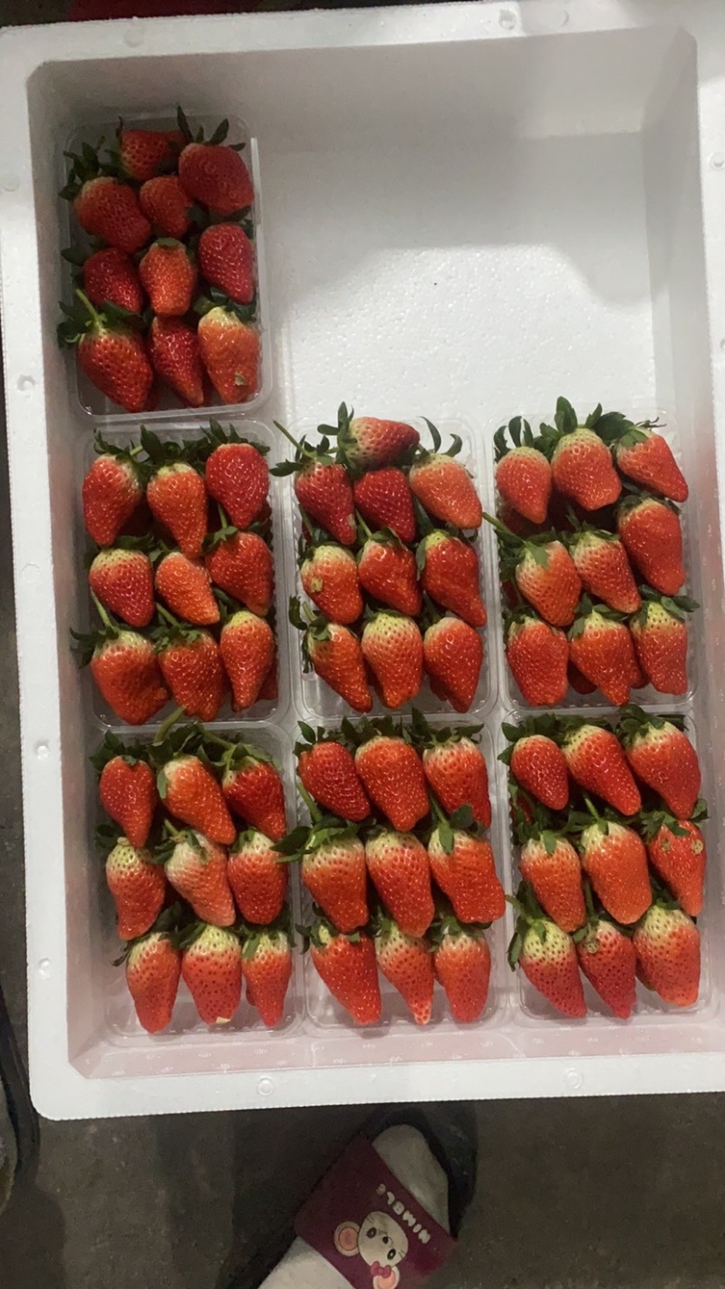 货真价实甜宝草莓🍓