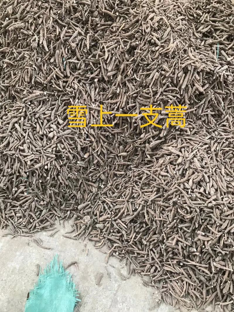 一支蒿，正品一枝蒿根中药材常年不断货，量大从优！