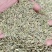 甘肃小茴香新货颜色特绿颗粒大饱满均匀无任何杂枝量大从优