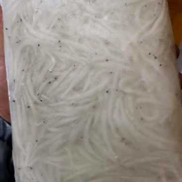 高山水库银鱼干，银鱼冻板，银鱼干