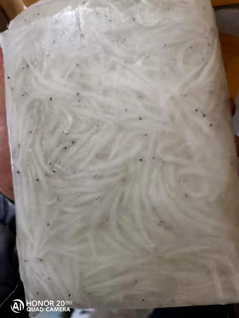高山水库银鱼干，银鱼冻板，银鱼干