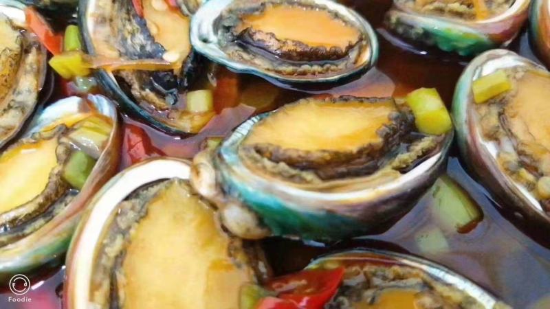 鲍鱼食用网红100头小鲍鱼保证包鲜支持全国发货