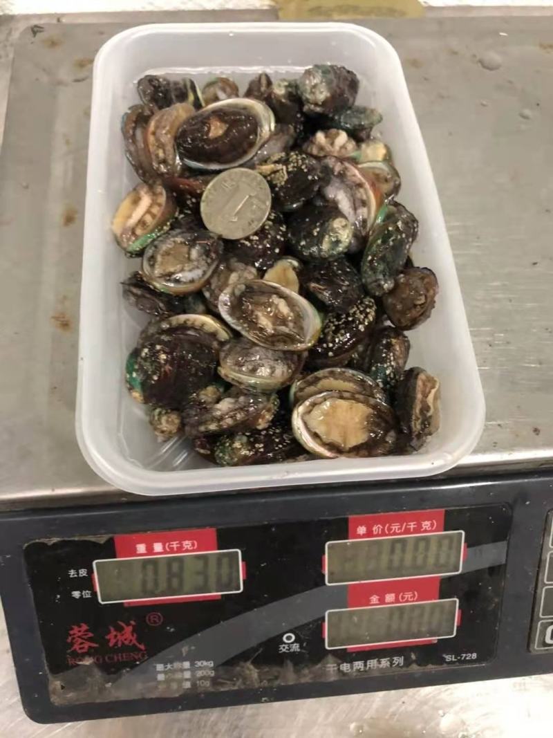 鲍鱼食用网红100头小鲍鱼保证包鲜支持全国发货